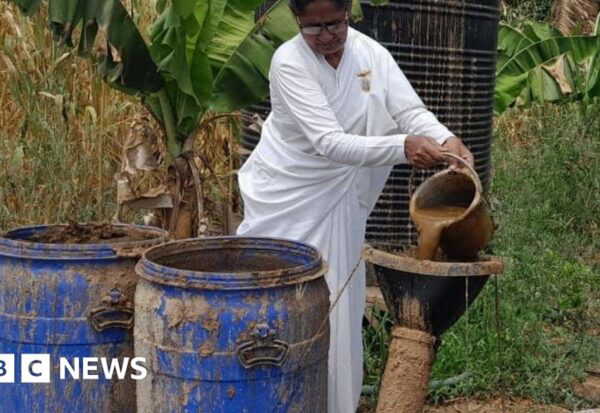 India's Rural Energy Revolution: The Role of Cow Dung