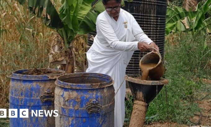 India's Rural Energy Revolution: The Role of Cow Dung